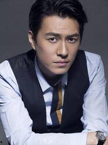 霍颖个人资料,才华横溢的青年才俊，多领域杰出贡献者