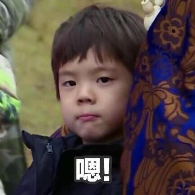 嗯哼自信表情包,展现独特魅力的瞬间