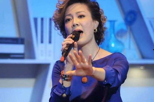 歌手文静个人资料,音乐之路上的璀璨星辰