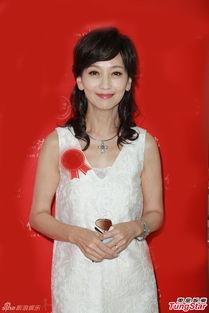 赵雅芝娱乐图片,娱乐瞬间尽显优雅魅力